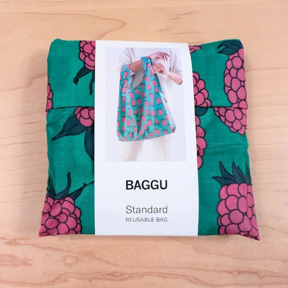 NWT Standard Baggu in Green Raspberry